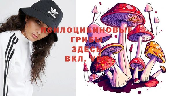 первитин Арсеньев