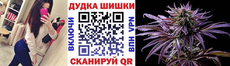 как найти наркотики  ссылка на мегу ССЫЛКА  Шишки марихуана план  Нея 